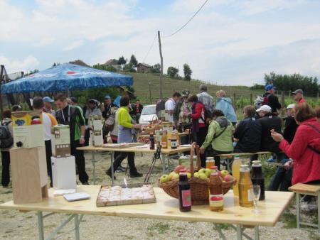 Pomlad v prleških goricah 2013 10